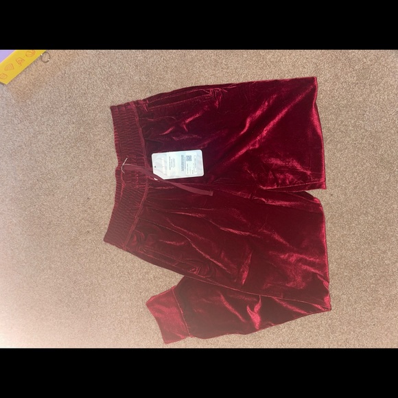 ✨Velour Joggers✨ - Picture 3 of 5